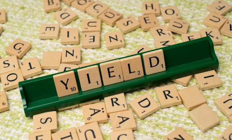 dividends yielding gmbh investment