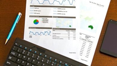insights and information provided