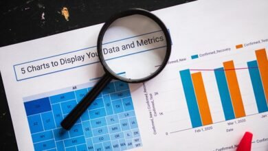 key facts and insights