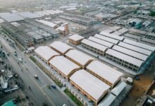 oglondaj anime pl market growth