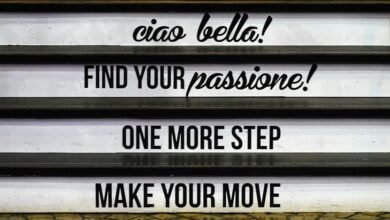 embrace innovation for success