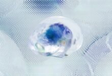 neural orbit apex beam