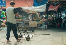 stellar horizon market analysis