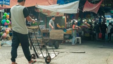 stellar horizon market analysis